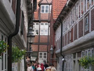 IMG_4353.JPG