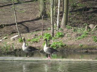 IMG_4436.JPG