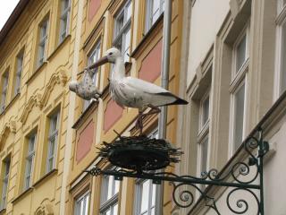 IMG_5610.JPG