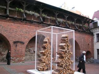 IMG_3146.jpg