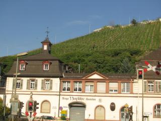 IMG_4786.JPG