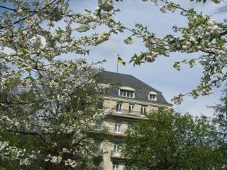 IMG_5015.JPG