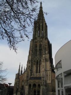 IMG_5038.JPG