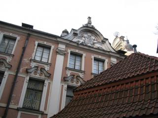 IMG_3225.jpg