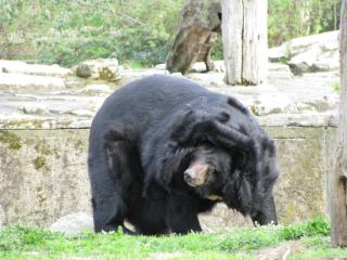 IMG_4288.JPG
