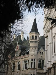 IMG_3168.jpg