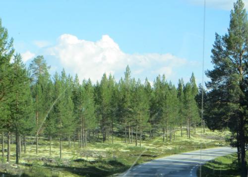 дорога в швецию2.jpg
