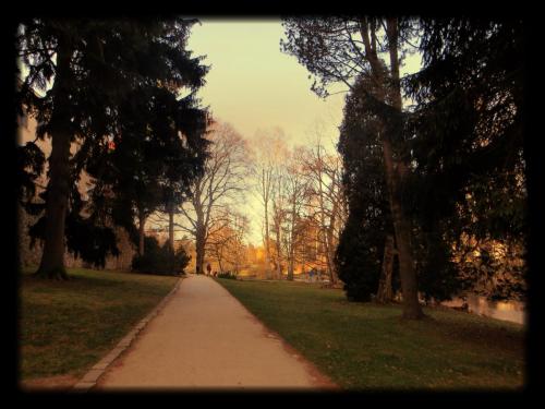 2015-12-31 10-50-33_12-53-49.JPG