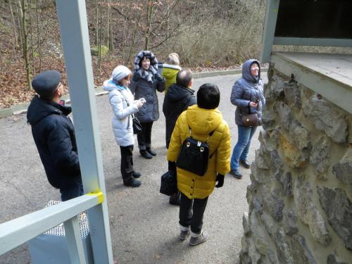 2015-12-30 10-54-11.JPG