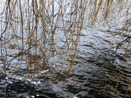 2015-12-31 10-20-47.JPG