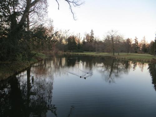 2015-12-30 16-01-18.JPG