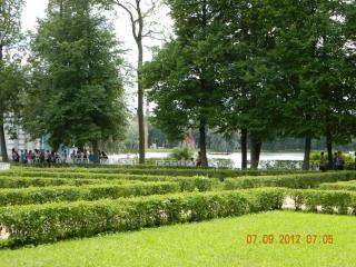 DSCN0467.JPG