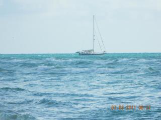 DSCN0221.jpg