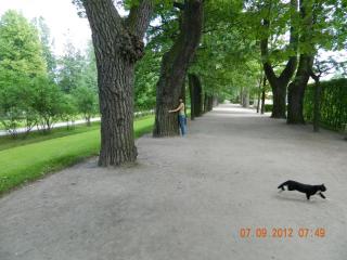 DSCN0494.JPG
