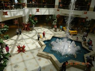 image1.jpeg