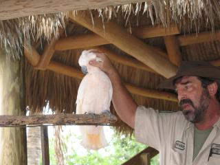 IMG_3122.jpg