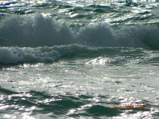 DSCN0204.jpg