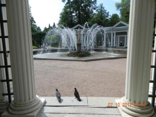 DSCN0527.JPG