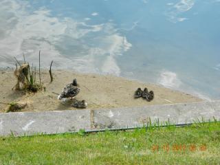 DSCN0524.JPG