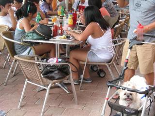 image5.jpeg
