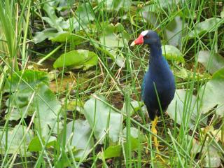 IMG_3094.jpg