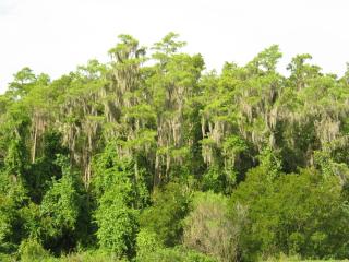 IMG_3037.jpg