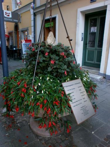 бад мокрый камень.jpg