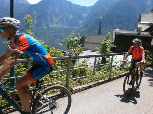 халь вело.jpg