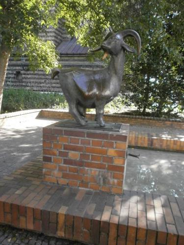 росток4.jpg
