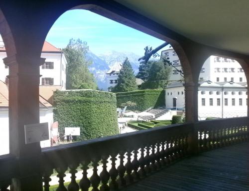 амбрас вид с галереи инт.jpg