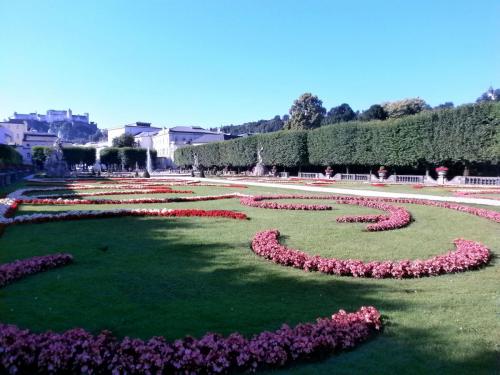 заль мир утро1.jpg