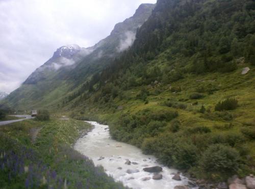 сильв путь8.jpg