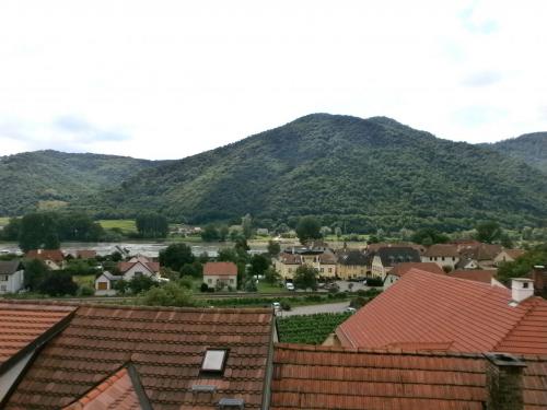 вайс виды.jpg