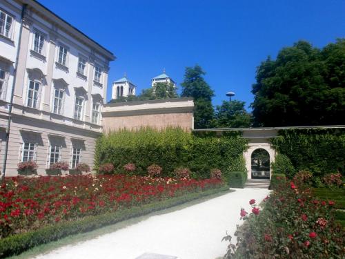 заль мир розарий.jpg