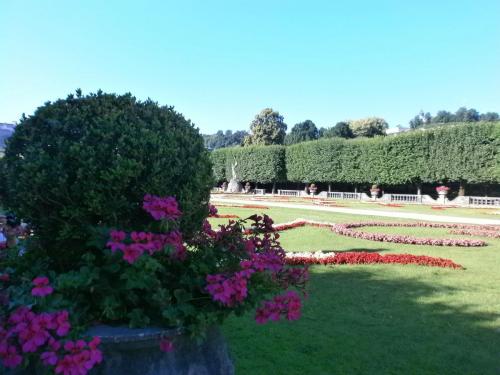 заль мир утро.jpg