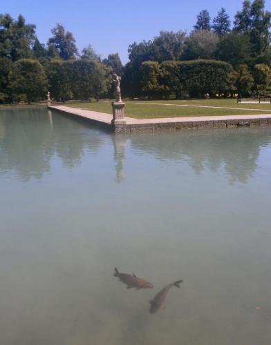 заль хель парк3.jpg