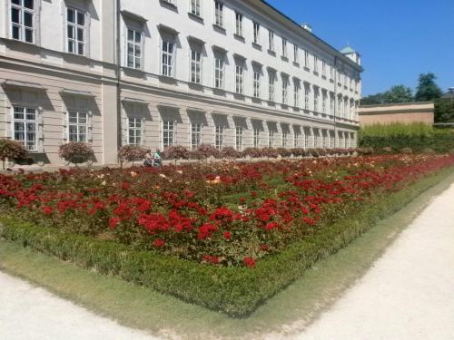 заль мир розарий1.jpg