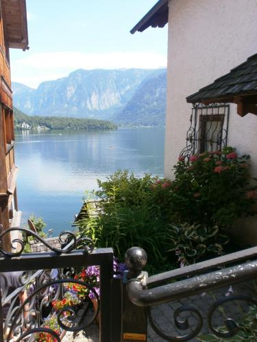 халь окно.jpg