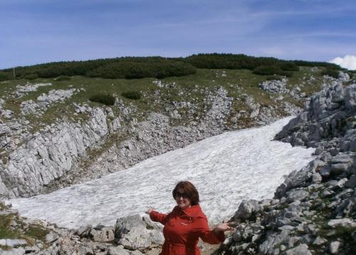 дах ледничок.jpg