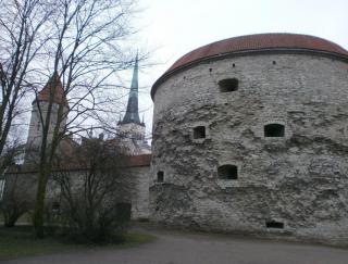 маргарита.jpg