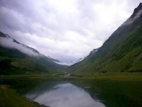 сильв пауза1.jpg