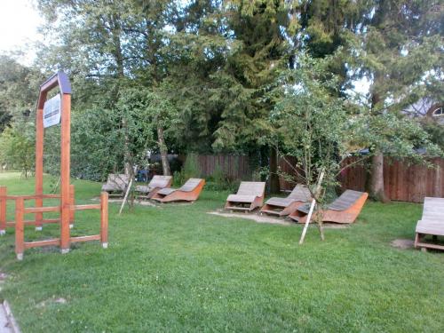 бад центр.jpg