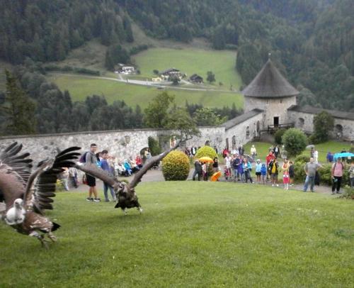 хоэн птица1.jpg