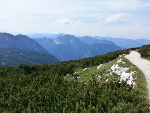 дах тропа.jpg