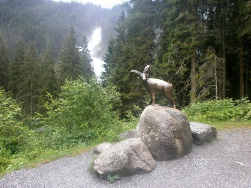 крим козел.jpg