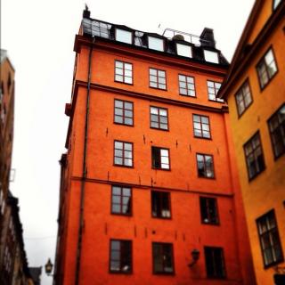 image (21).jpeg