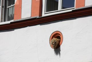 IMG_1876.JPG