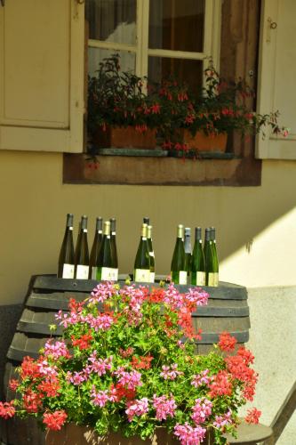 DSC_0958.JPG