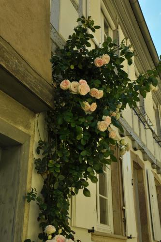 DSC_0853.JPG