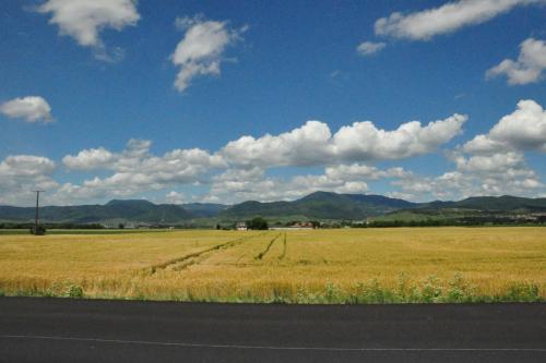 DSC_0929.JPG